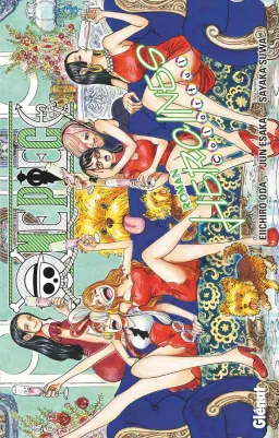 Couverture de One Piece Roman